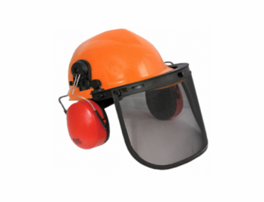 Face Shield with Ear Muff